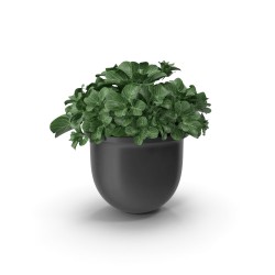 Pot de fleurs en grès émaillé Ø 22 cm avec soucoupe — Terrapot