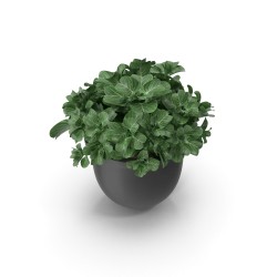 Pot de fleurs en grès émaillé Ø 22 cm avec soucoupe — Terrapot