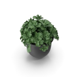 Pot de fleurs en grès émaillé Ø 22 cm avec soucoupe — Terrapot