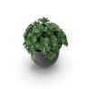 Pot de fleurs en grès émaillé Ø 22 cm avec soucoupe — Terrapot