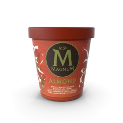 Crème glacée vanille de Madagascar 500 ml