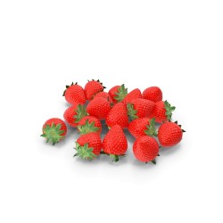 Fraises Gariguette de France — barquette 250 g