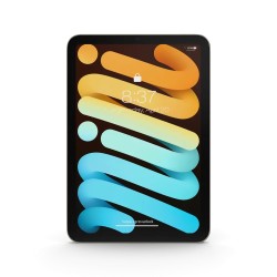 Numen Slate Mini 2021 64 Go Wi-Fi lumière stellaire