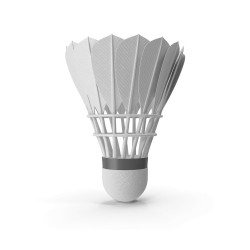 Volants de badminton plumes d'oie — tube de 12