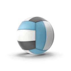 Ballon de volley-ball taille 5 cuir synthétique souple